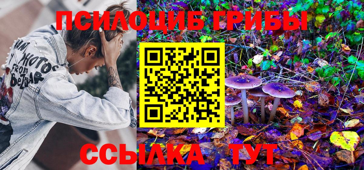 Галлюциногенные грибы Psilocybine cubensis Алексин
